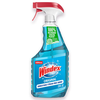 save 0 50 on any one 1 windex reg product Publix Coupon