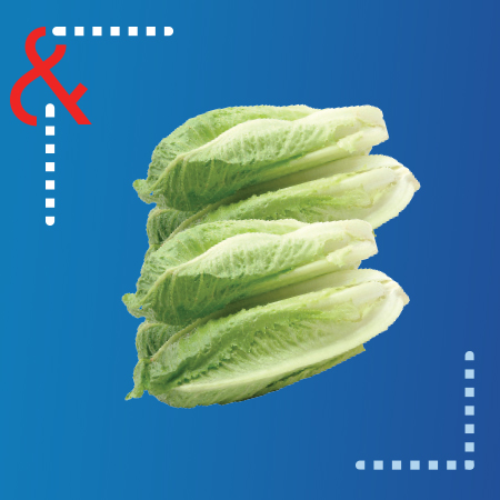 Fresh Produce