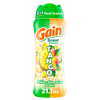 save 3 00 on one gain in wash scent boosters 21 1 24 oz excludes gain liquid powder laundry detergent gain sheets and trial travel size Publix Coupon