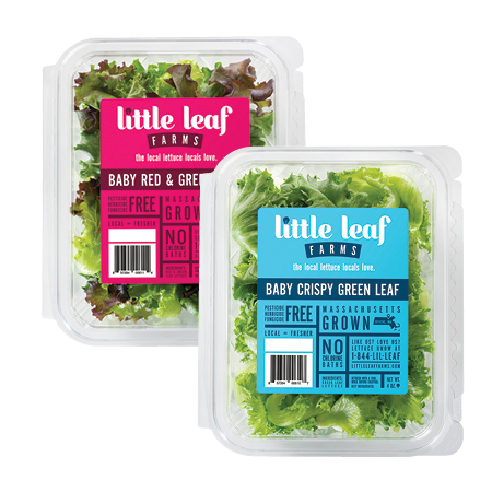 Image of Offer $1.00 Off Little Leaf Salads