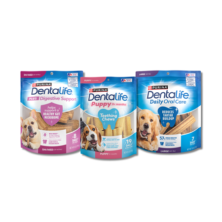 Image of Offer Save $2.00 on any one (1) 6 oz or larger bag of Dentalife® Dog Treats