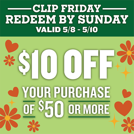 Image of Offer $10 Off When You Spend $50 or More!