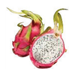 coupon product image 