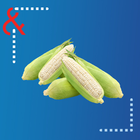 Fresh Produce