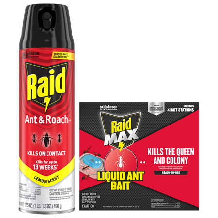 Raid