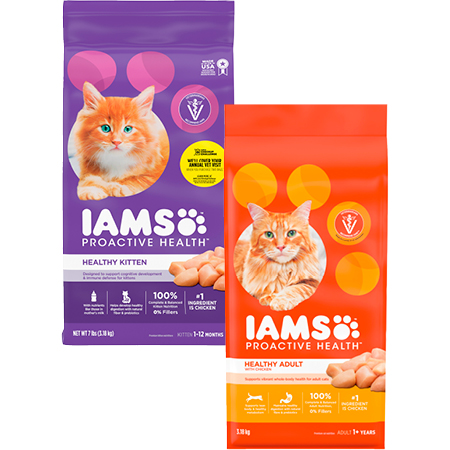 IAMS