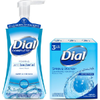 Save $1.00 on 2 Dial® Soap when you buy TWO (2) Dial Complete® Foaming Hand W...