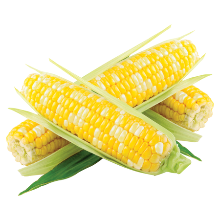 coupon product image