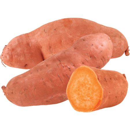coupon product image 