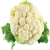 coupon product image 