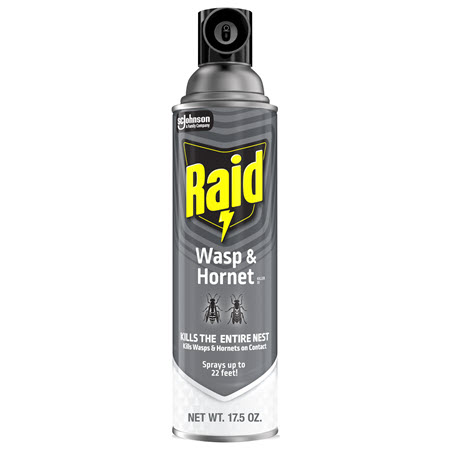 Raid