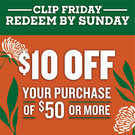 Image of Offer $10 Off When You Spend $50 or More!
