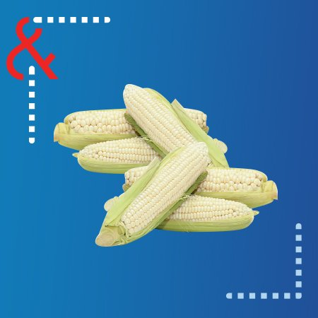 an image