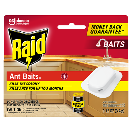 Raid