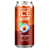 buy one 1 publix vanilla ice cream half gallon get one 1 free 16oz can of sparkling ice caffeine root beer cherry cola orange cream varieties Publix Coupon
